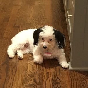 Meet your Posher, Colette